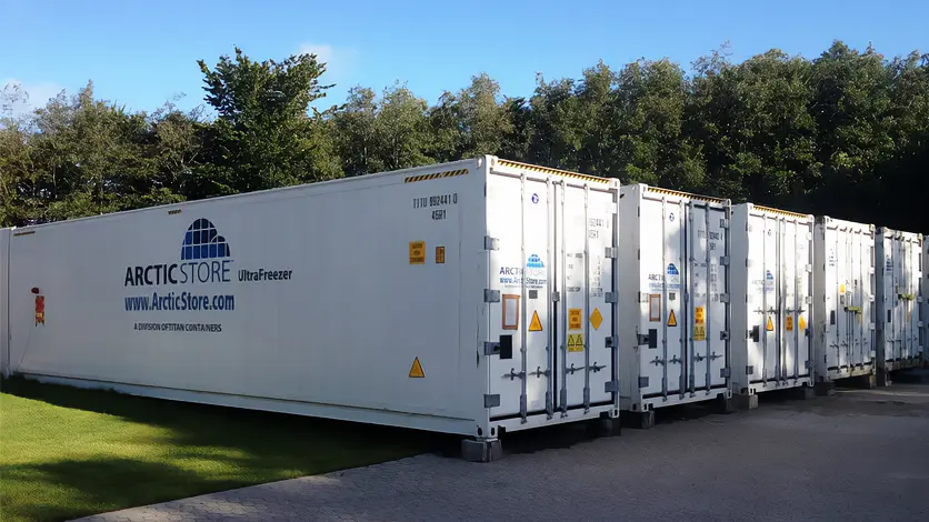 Arctic Ultrafreezer Ultra Low Temperature Cold Storage - Refrigerated Containers for Hire