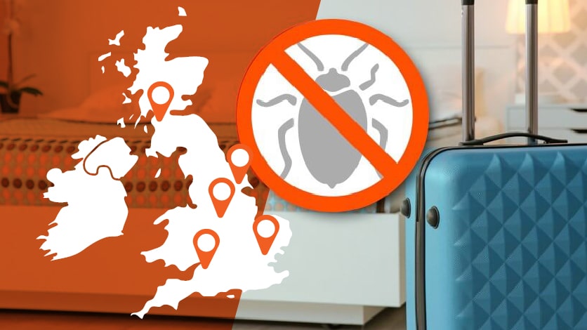 Bed Bugs - TITAN Containers in the UK