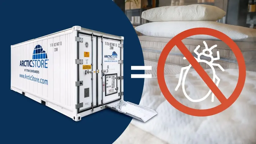 Cold Storage to eliminate bed bugs