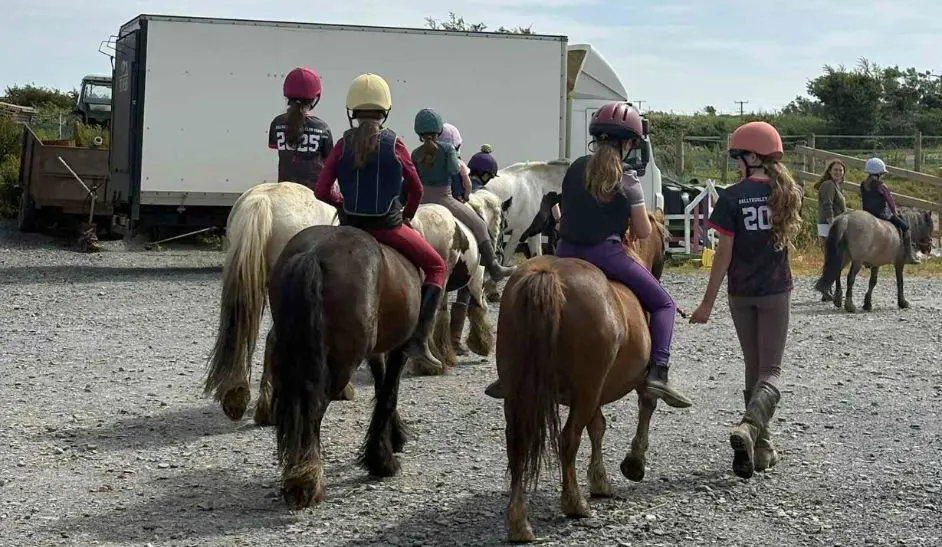 Peninsula Stable Minds - TITAN Impact