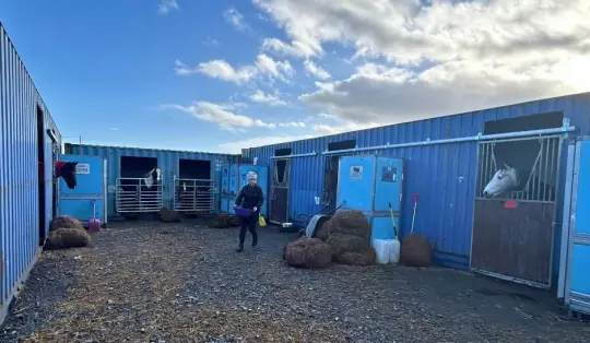 Peninsula Stable Minds – TITAN Impact, hvor vi bringer glæde ved at fodre ponyer for børn og familier.