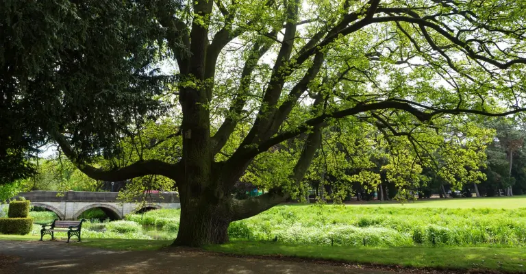 Melton Mowbray Relocation Guide