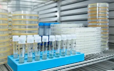 Pharmaceutical cold chain storage for temperature-sensitive medicines and therapies